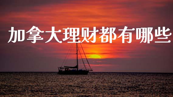 加拿大理财都有哪些_https://wap.yjjixie.cn_港股行情_第1张