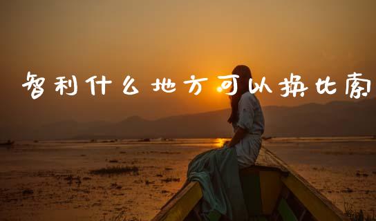 智利什么地方可以换比索_https://wap.yjjixie.cn_保险理财_第1张