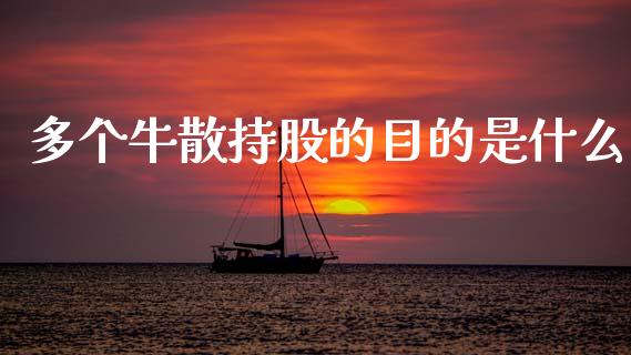 多个牛散持股的目的是什么_https://wap.yjjixie.cn_证券市场_第1张