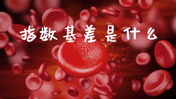 指数基差是什么_https://wap.yjjixie.cn_证券市场_第1张