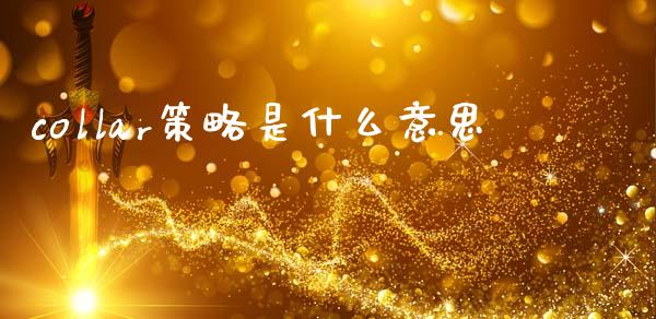 collar策略是什么意思_https://wap.yjjixie.cn_保险理财_第1张