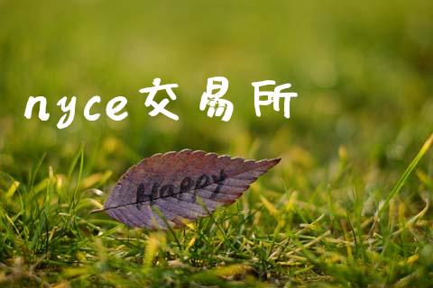 nyce交易所_https://wap.yjjixie.cn_证券市场_第1张