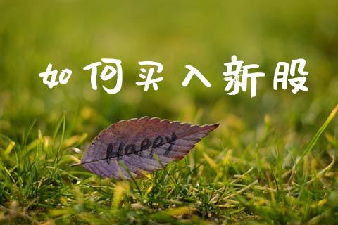 如何买入新股_https://wap.yjjixie.cn_保险理财_第1张