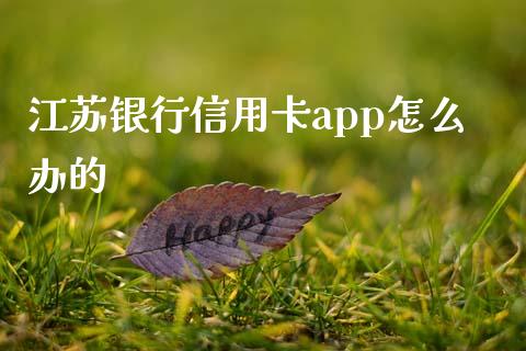 江苏银行信用卡app怎么办的_https://wap.yjjixie.cn_商业资讯_第1张