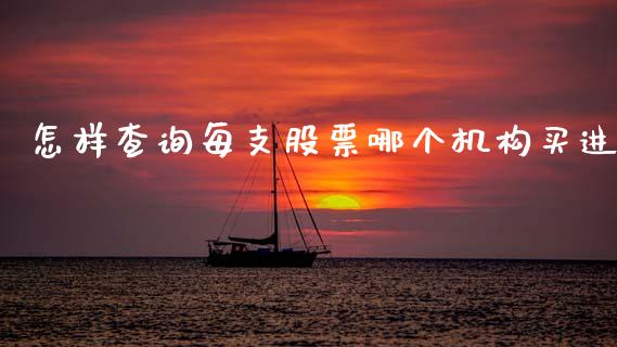 怎样查询每支股票哪个机构买进_https://wap.yjjixie.cn_保险理财_第1张