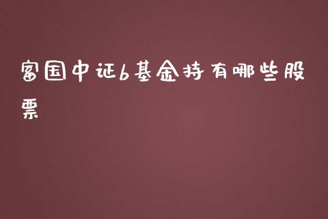富国中证b基金持有哪些股票_https://wap.yjjixie.cn_商业资讯_第1张