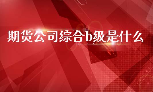 期货公司综合b级是什么_https://wap.yjjixie.cn_商业资讯_第1张