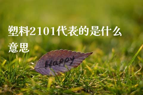 塑料2101代表的是什么意思_https://wap.yjjixie.cn_商业资讯_第1张