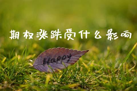 期权涨跌受什么影响_https://wap.yjjixie.cn_港股行情_第1张