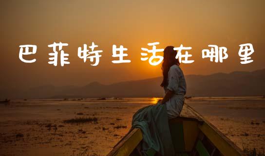 巴菲特生活在哪里_https://wap.yjjixie.cn_港股行情_第1张