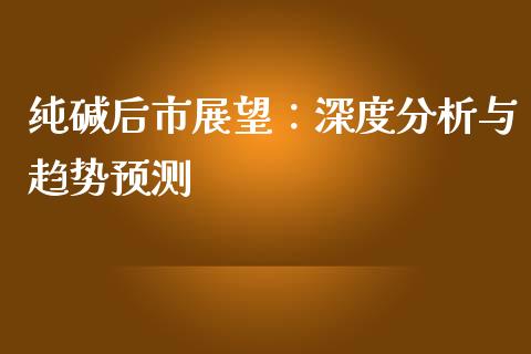纯碱后市展望：深度分析与趋势预测_https://wap.yjjixie.cn_保险理财_第1张