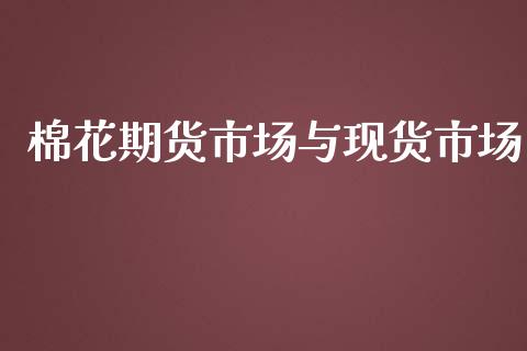 棉花期货市场与现货市场_https://wap.yjjixie.cn_商业资讯_第1张