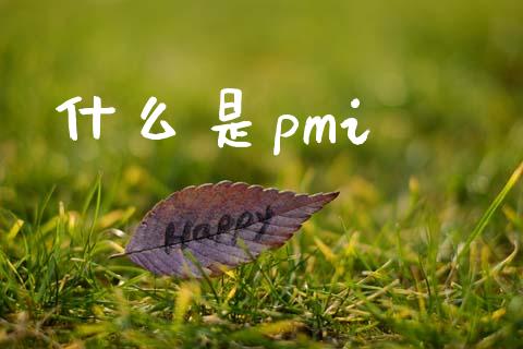 什么是pmi_https://wap.yjjixie.cn_保险理财_第1张