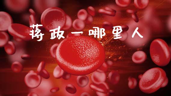 蒋政一哪里人_https://wap.yjjixie.cn_保险理财_第1张