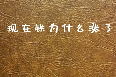 现在铁为什么涨了_https://wap.yjjixie.cn_商业资讯_第1张