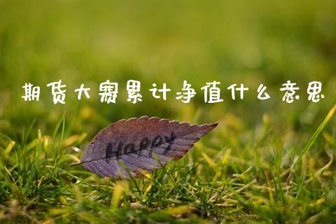 期货大赛累计净值什么意思_https://wap.yjjixie.cn_保险理财_第1张