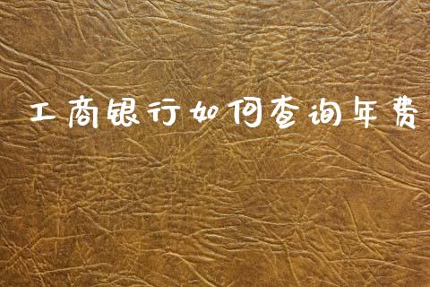 工商银行如何查询年费_https://wap.yjjixie.cn_港股行情_第1张