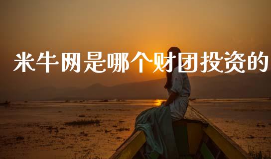 米牛网是哪个财团投资的_https://wap.yjjixie.cn_港股行情_第1张
