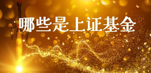 哪些是上证基金_https://wap.yjjixie.cn_证券市场_第1张
