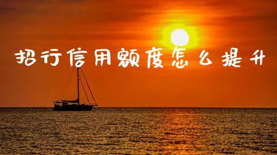 招行信用额度怎么提升_https://wap.yjjixie.cn_商业资讯_第1张