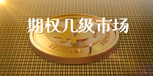 期权几级市场_https://wap.yjjixie.cn_保险理财_第1张