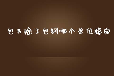 包头除了包钢哪个单位稳定_https://wap.yjjixie.cn_商业资讯_第1张
