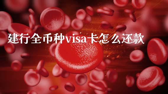 建行全币种visa卡怎么还款_https://wap.yjjixie.cn_港股行情_第1张