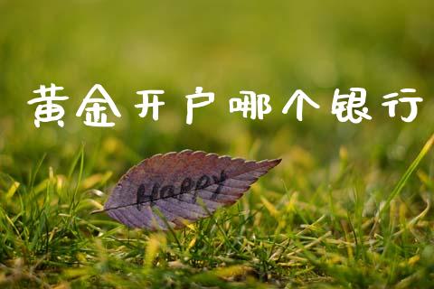 黄金开户哪个银行_https://wap.yjjixie.cn_保险理财_第1张