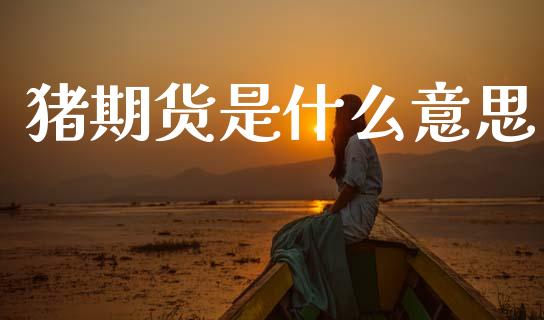 猪期货是什么意思_https://wap.yjjixie.cn_港股行情_第1张