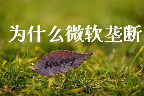 为什么微软垄断_https://wap.yjjixie.cn_港股行情_第1张