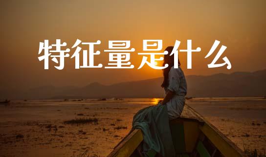 特征量是什么_https://wap.yjjixie.cn_商业资讯_第1张