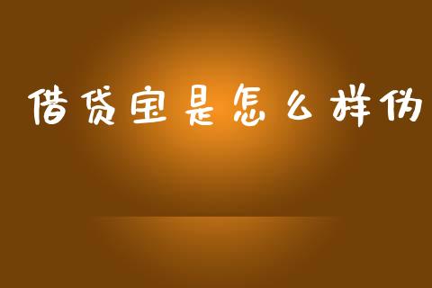 借贷宝是怎么样伪_https://wap.yjjixie.cn_商业资讯_第1张