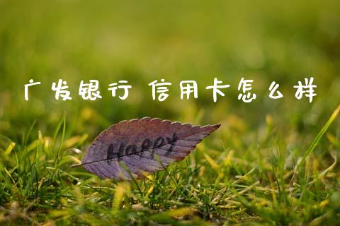 广发银行 信用卡怎么样_https://wap.yjjixie.cn_港股行情_第1张
