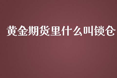 黄金期货里什么叫锁仓_https://wap.yjjixie.cn_港股行情_第1张