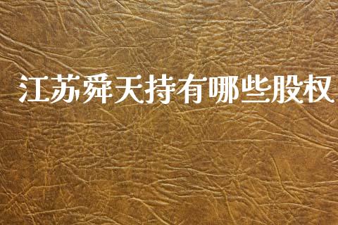 江苏舜天持有哪些股权_https://wap.yjjixie.cn_保险理财_第1张