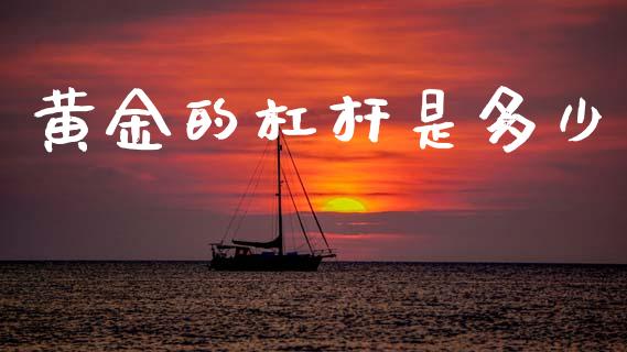 黄金的杠杆是多少_https://wap.yjjixie.cn_商业资讯_第1张