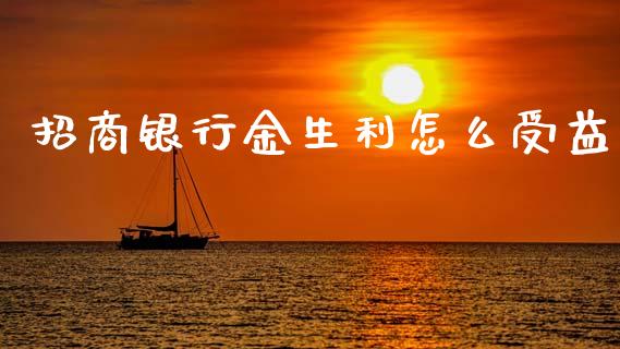 招商银行金生利怎么受益_https://wap.yjjixie.cn_证券市场_第1张