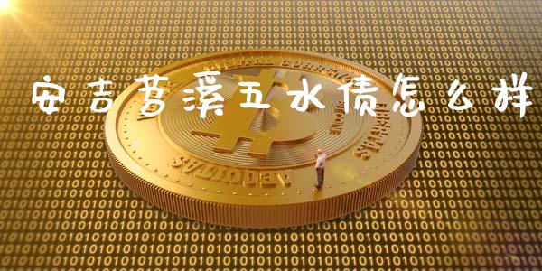 安吉苕溪五水债怎么样_https://wap.yjjixie.cn_港股行情_第1张