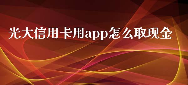 光大信用卡用app怎么取现金_https://wap.yjjixie.cn_商业资讯_第1张