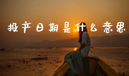 投产日期是什么意思_https://wap.yjjixie.cn_保险理财_第1张