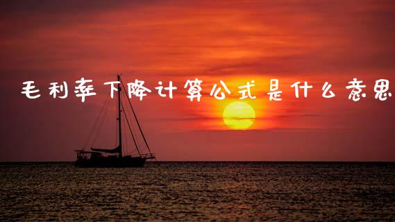 毛利率下降计算公式是什么意思_https://wap.yjjixie.cn_商业资讯_第1张
