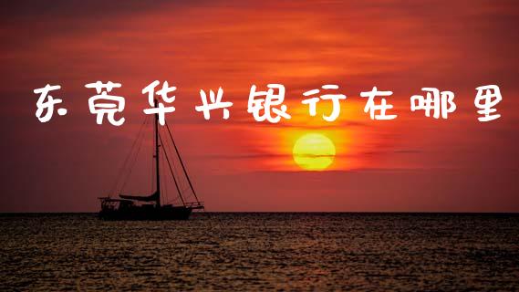 东莞华兴银行在哪里_https://wap.yjjixie.cn_保险理财_第1张