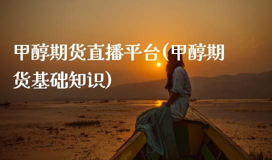 甲醇期货直播平台(甲醇期货基础知识)_https://wap.yjjixie.cn_保险理财_第1张