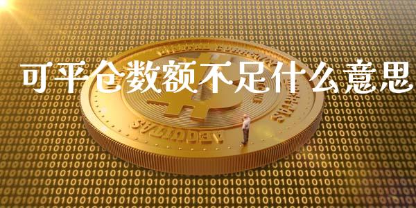可平仓数额不足什么意思_https://wap.yjjixie.cn_商业资讯_第1张