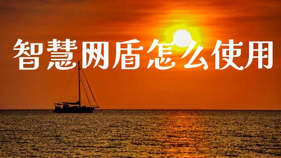 智慧网盾怎么使用_https://wap.yjjixie.cn_商业资讯_第1张