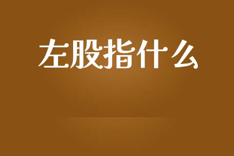 左股指什么_https://wap.yjjixie.cn_商业资讯_第1张