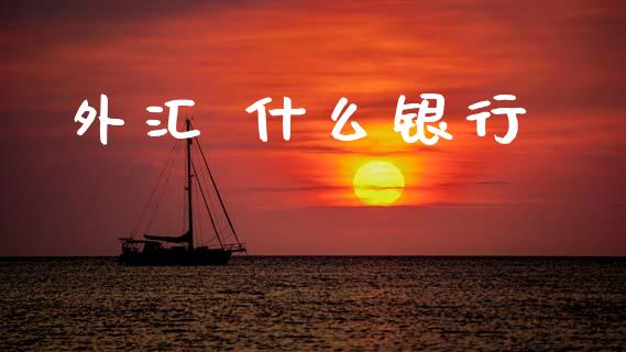 外汇 什么银行_https://wap.yjjixie.cn_商业资讯_第1张