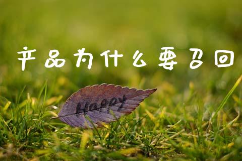 产品为什么要召回_https://wap.yjjixie.cn_证券市场_第1张