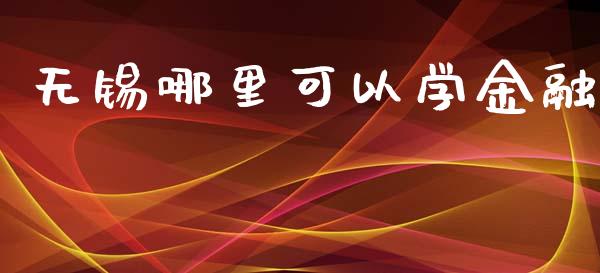 无锡哪里可以学金融_https://wap.yjjixie.cn_证券市场_第1张