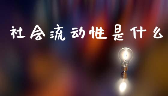 社会流动性是什么_https://wap.yjjixie.cn_证券市场_第1张